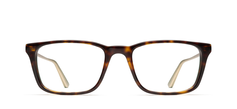 RMNYC 2006 in tortoise 358
