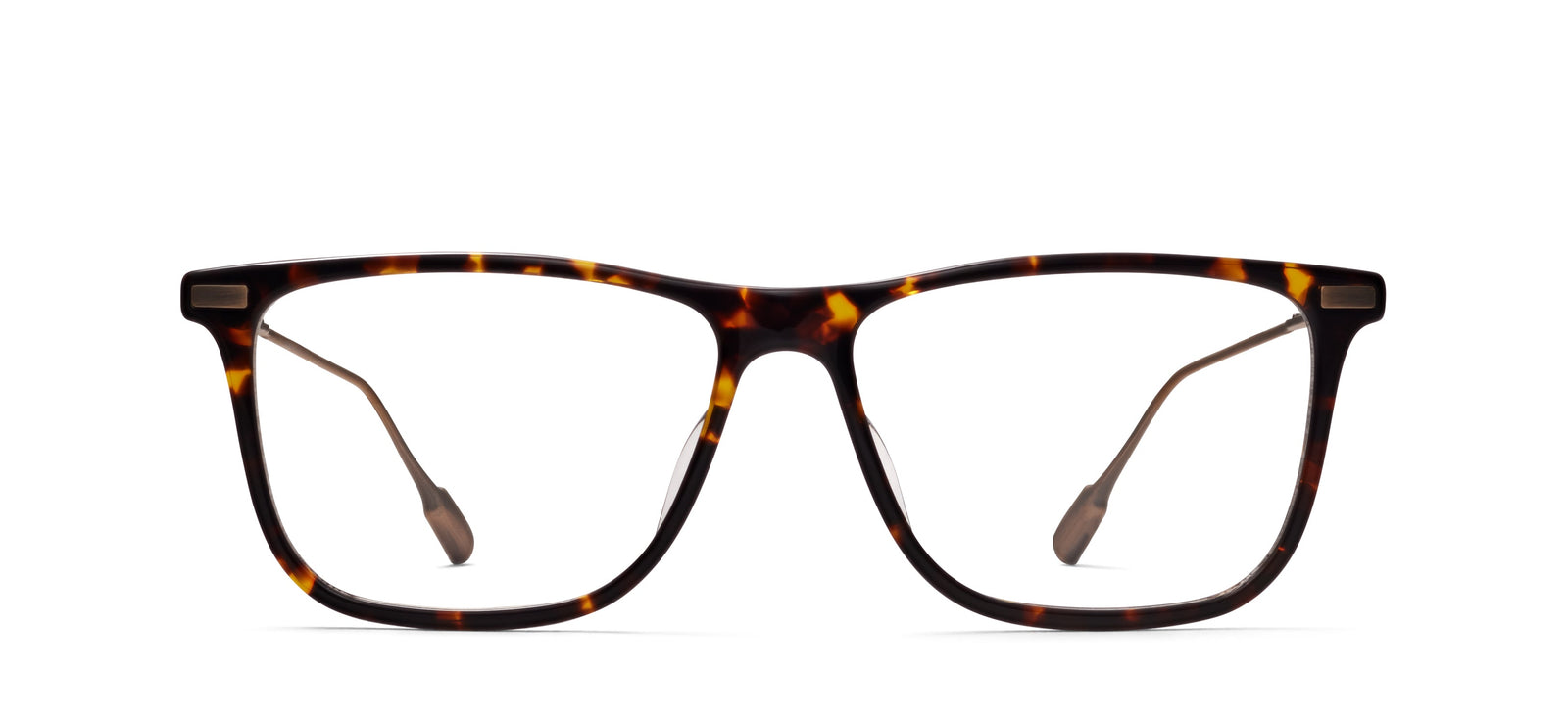 Reflections RMNYC 2019